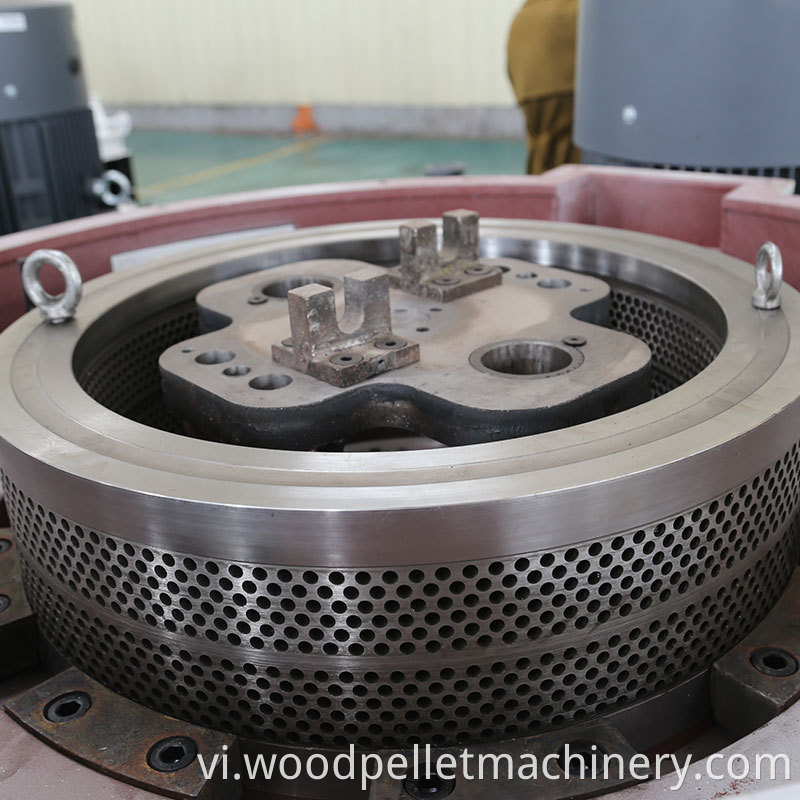 Wood pellet mill ring die